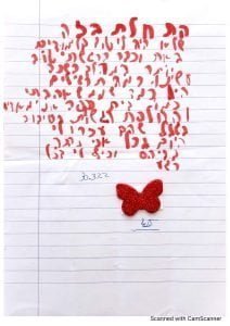 המלצה1